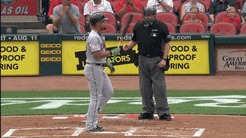 angry white sox GIF by NBC Sports Chicago