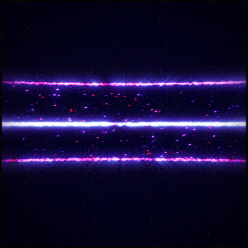 Pink Glow GIF by Erica Anderson Find & Share on GIPHY