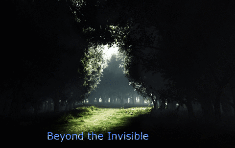invisible