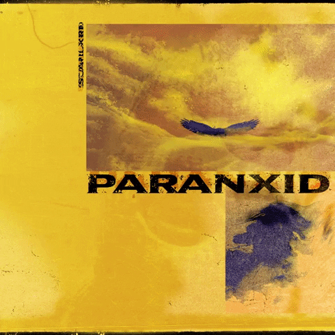 paranxid GIF by Scarlxrd