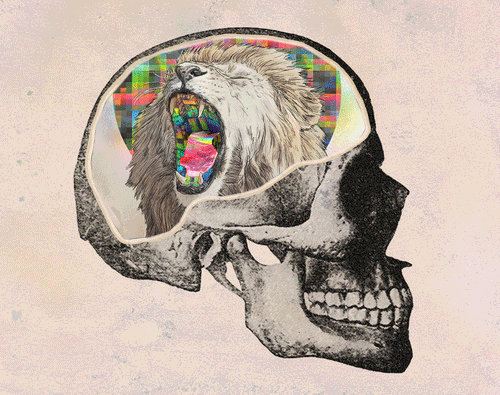 skull brain GIF