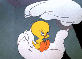 Resultado de imagen para tweety