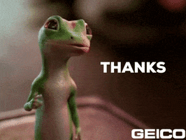 Work Out Thank You GIF by GEICO