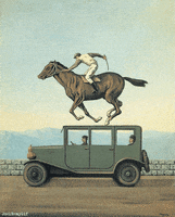 Car Horse GIF by joelremygif