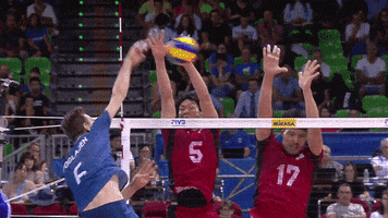 La Albiceleste Yes GIF by Volleyball World