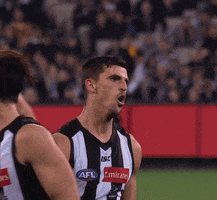 celebration dipper GIF by CollingwoodFC