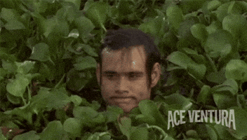 awkward jim carrey GIF