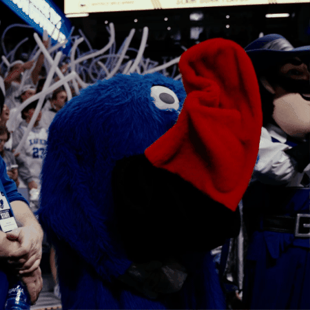 1831 Media Network GIF