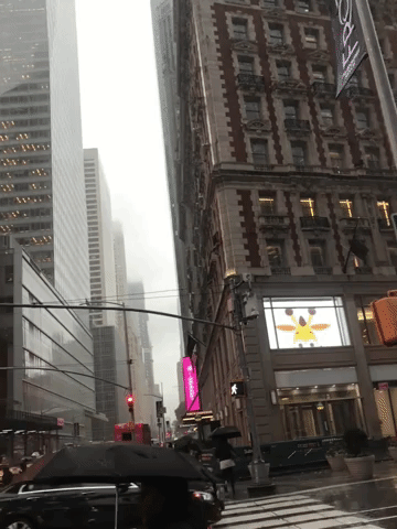 Nyc GIF