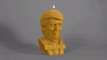 Donald Trump Wow GIF by ADWEEK
