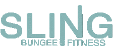 Sling Allfit Sticker by SlingBungee