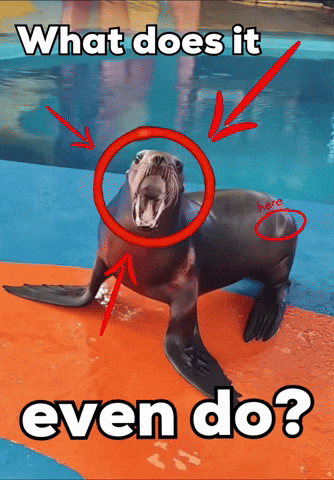 What Does It Who Is This GIF