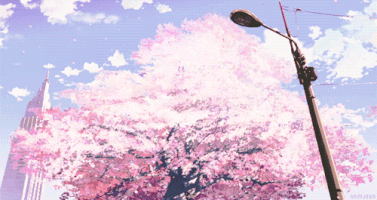 Sky Realm of Rainbows — ayumi-cchi: Anime Cherry Blossom gif~ I just...