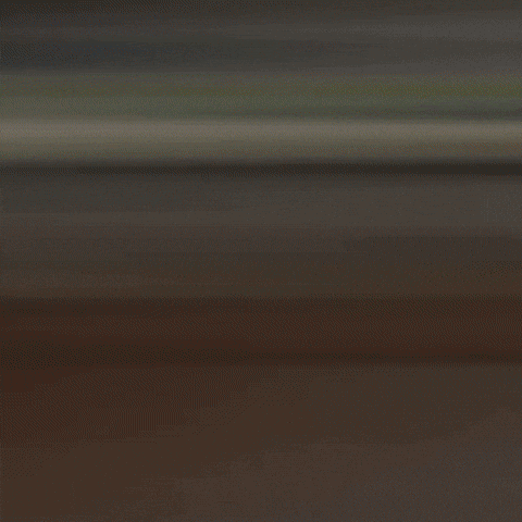 GIF by Shark Coatings