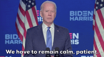 Remain Calm Joe Biden GIF by Election 2020