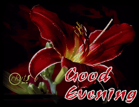 Good Evening GIF by youramazing - Find & Share on GIPHY