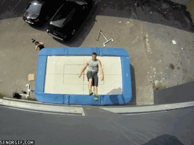 giphy.gif