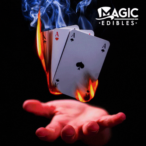 Fire Magic GIF by Exclusive Brands