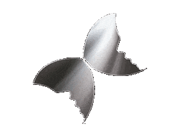 Body Mariposa Sticker