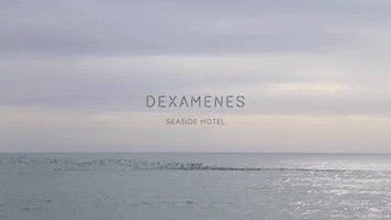 sea ocean GIF by Dexamenes Seaside Hotel