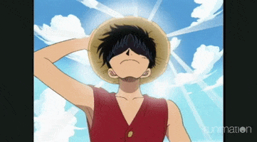 one piece sun GIF by Funimation