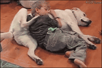 Dog Kid GIF - Find & Share on GIPHY