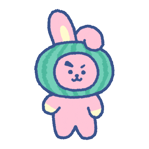 Watermelon Cooky Sticker by BT21