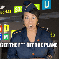 Recognize Air Marshal GIF by Holly Logan