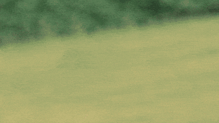 Trump GIF