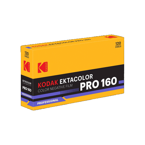 Film Photography Sticker by Kodak