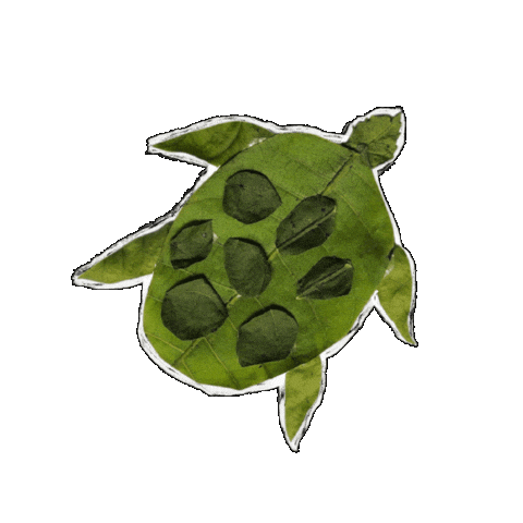 Animated Sticker