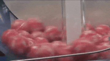 Lottery GIF