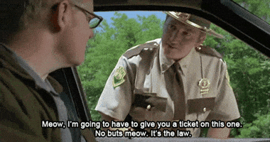 spike tv meow GIF