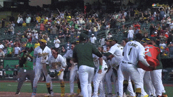 Sport Baseball GIF by MLB