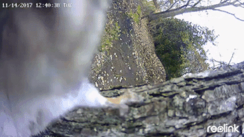 200.gif?cid=fc005b080ad5a8d623bead8adbf96c4c804590d51e564267&rid=200.gif&ct=g