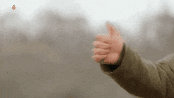 Thumbs Up GIF