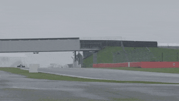 formula 1 rain GIF by Red Bull Racing