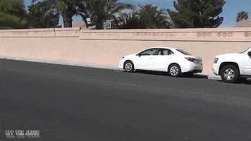 200.gif?cid=fc005b083165f9c67dd13589fa923ad9bb61a932da5afd76&rid=200.gif&ct=g