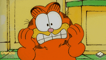 Shocked Fat Cat GIF by Boomerang Official