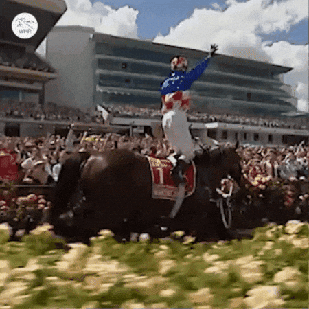 Melbourne Cup Horse Riding GIF by World Horse Racing