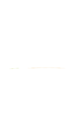 EDS IMPORT Sticker
