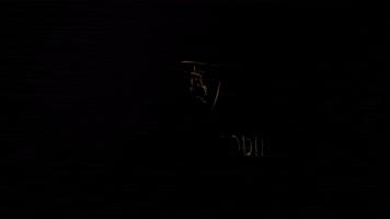 Legendary GIF by tjhoban