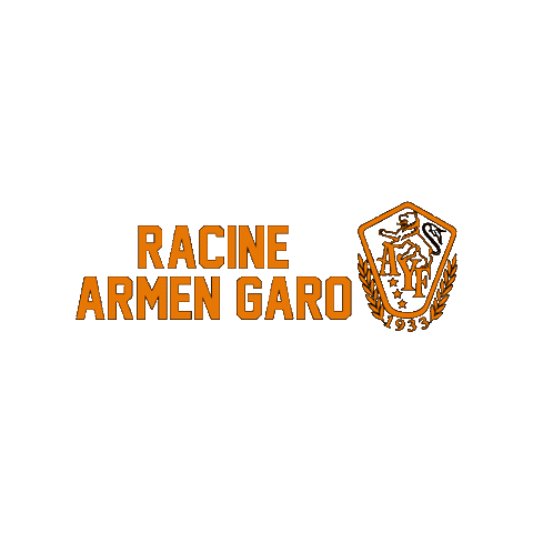 AYF Sticker