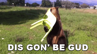 giphy.gif?cid=3640f6095beac432796756412e44a5e6