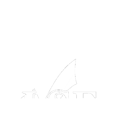 Liga Studenților Economiști Iași Sticker