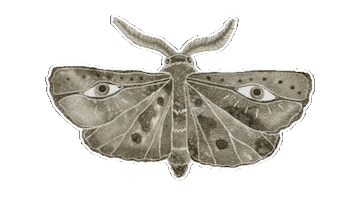 Eyes Witchcraft Sticker