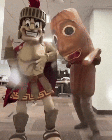 Usc Trojans GIF