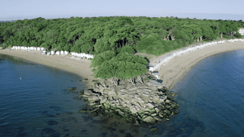 Phoniclips.tv GIF