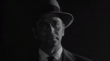 Noir GIF