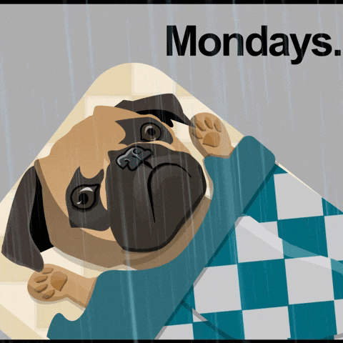 Sad Pug Gifs Get The Best Gif On Giphy Sad Pug Gifs Get The Best Gif On Giphy